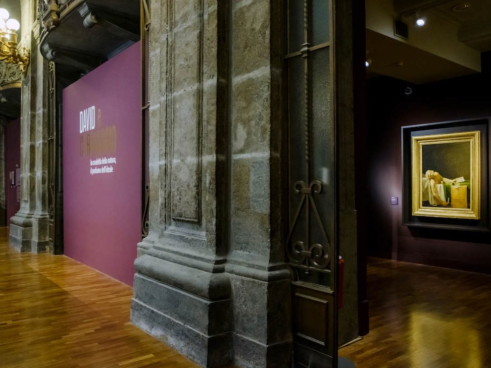 Allestimento mostra David e Caravaggio. La crudeltà della natura, il profumo dell’ideale