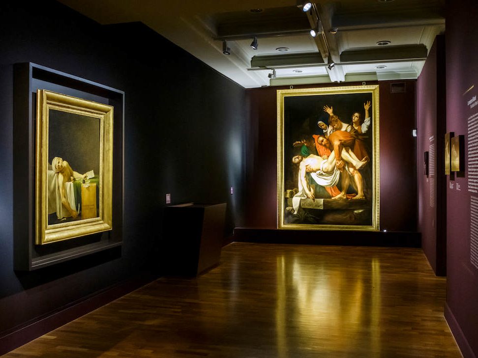 Allestimento mostra David e Caravaggio. La crudeltà della natura, il profumo dell’ideale