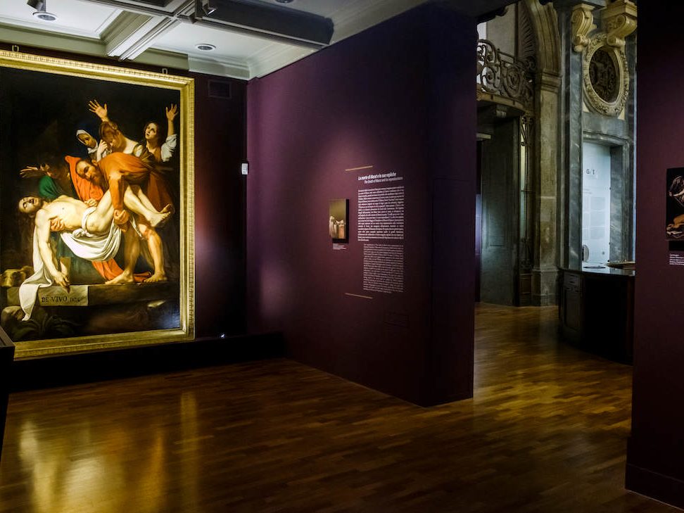 Allestimento mostra David e Caravaggio. La crudeltà della natura, il profumo dell’ideale