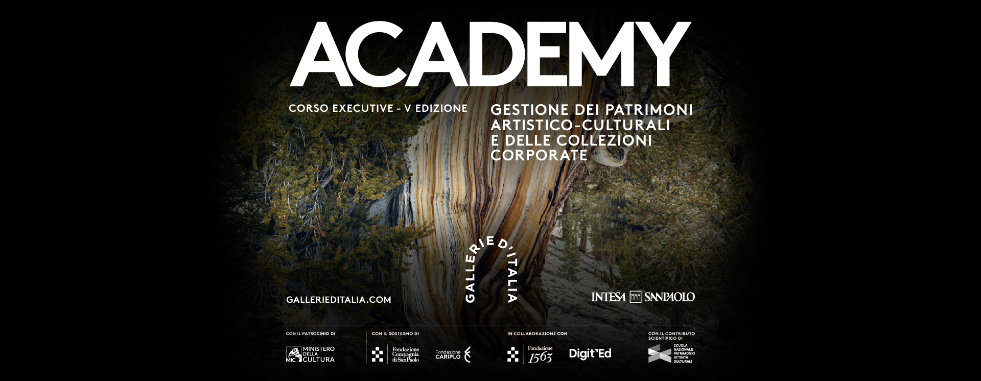 Academy, Corso executive quinta edizione