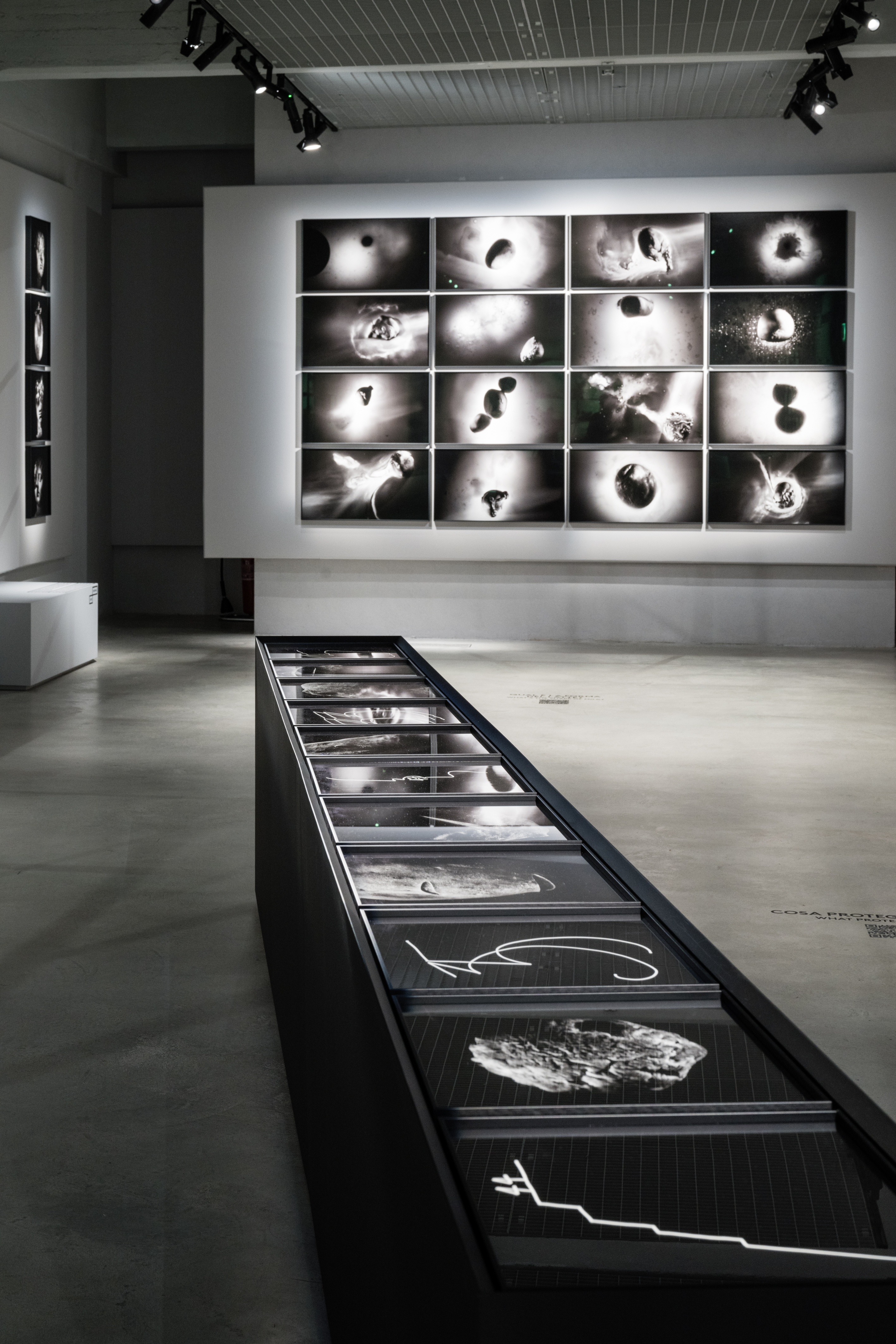 Allestimento mostra 