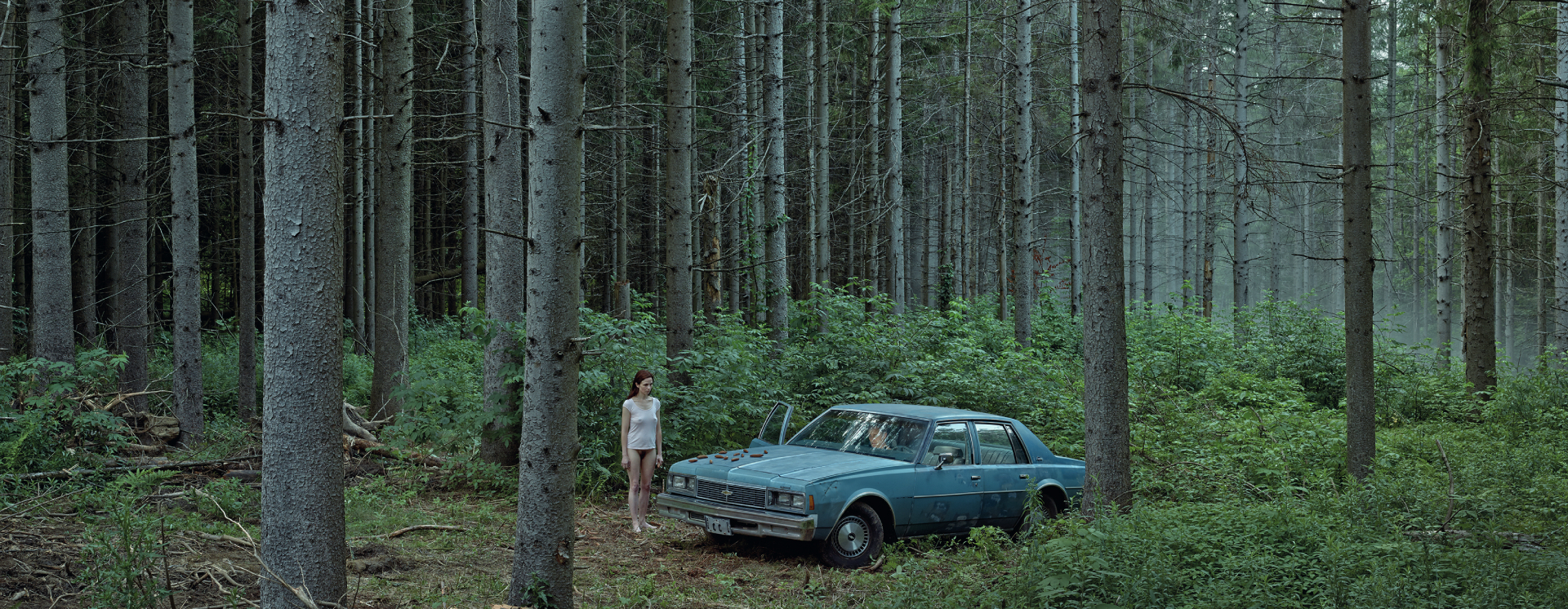 Pine Forest - Crewdson
