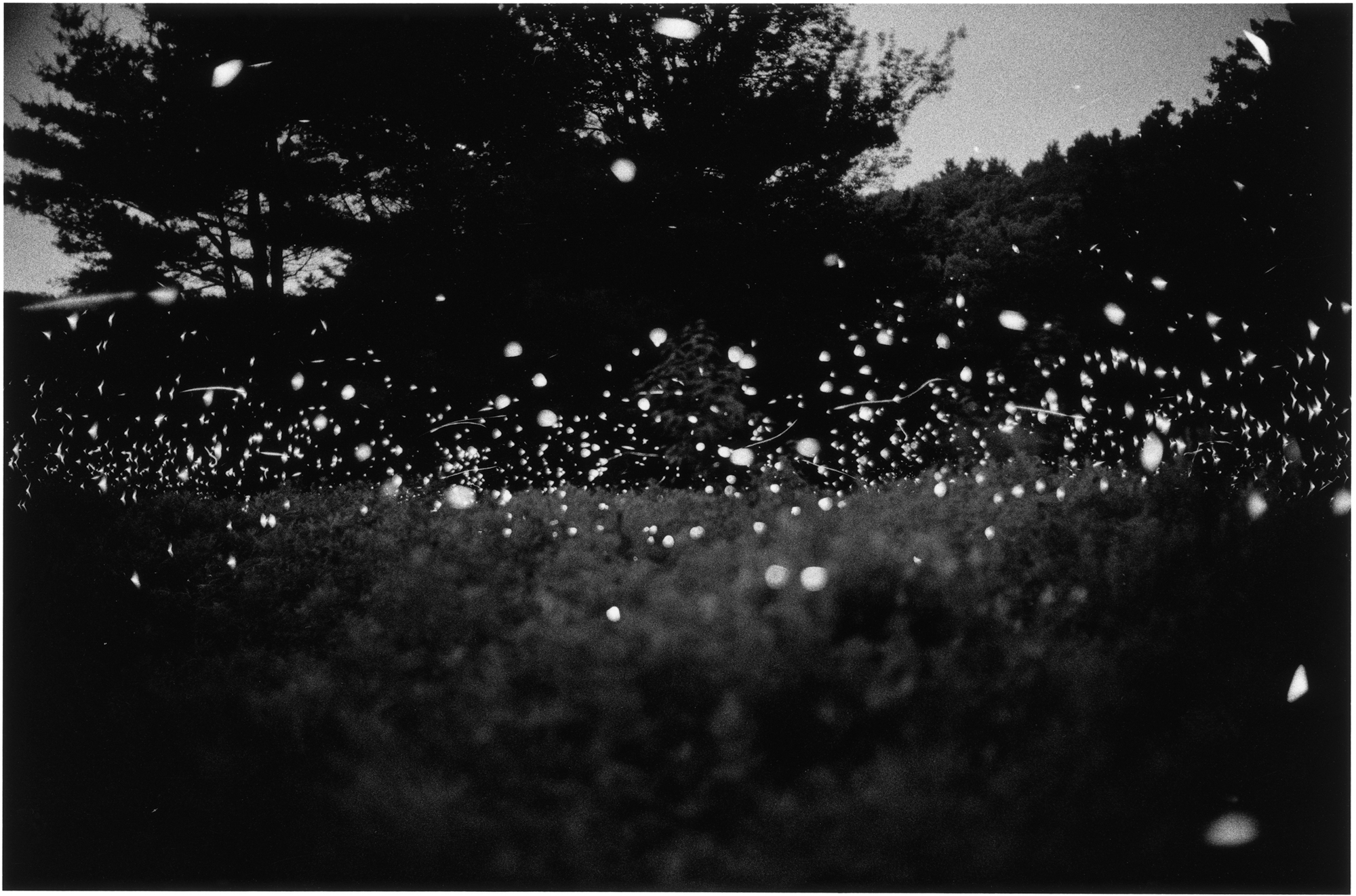 Untitled 14_35, 1996 © Gregory Crewdson