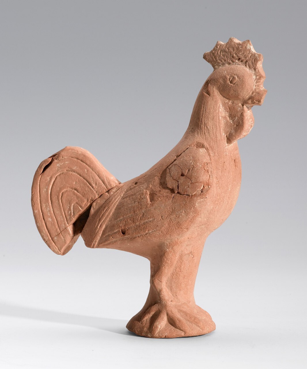 Gallo