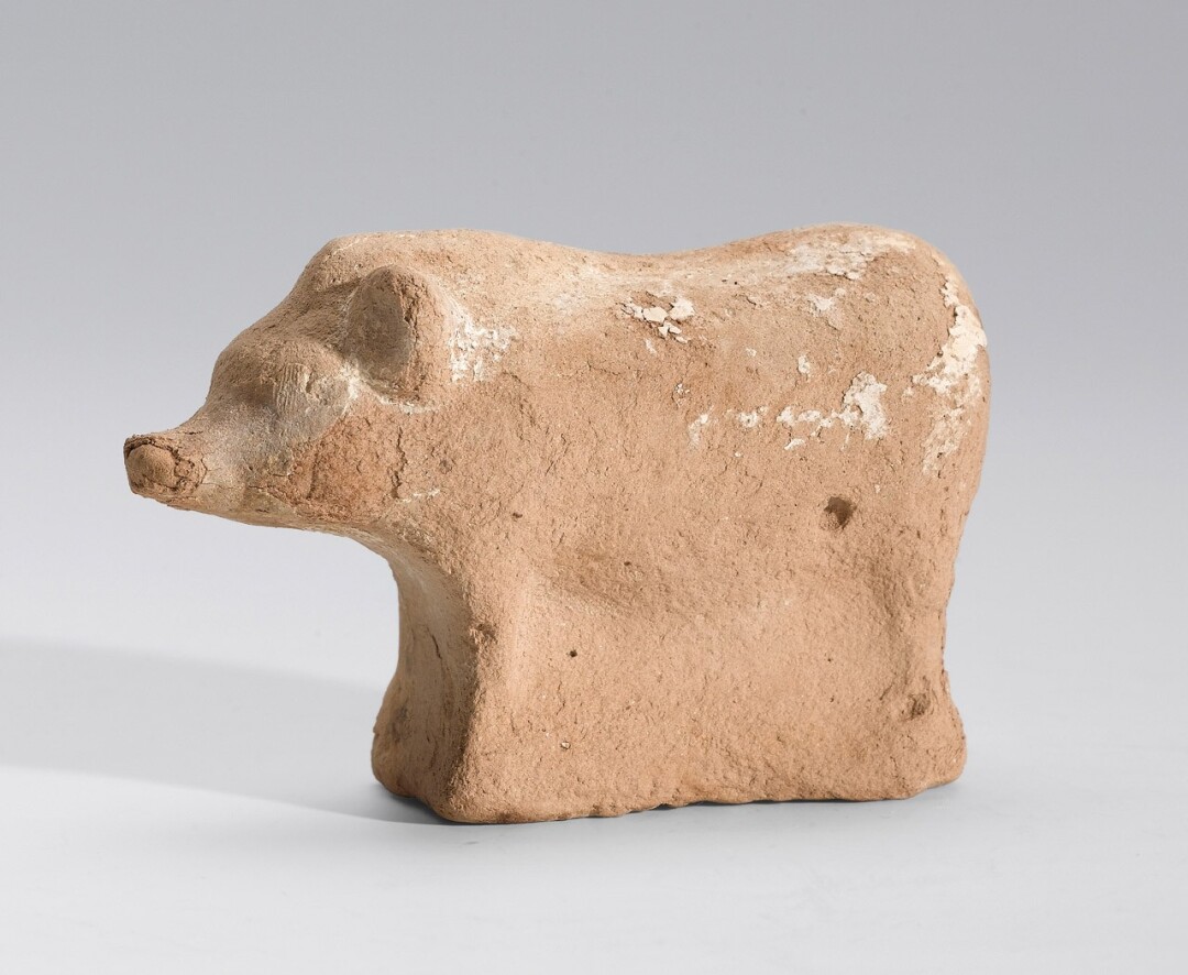 Maialino