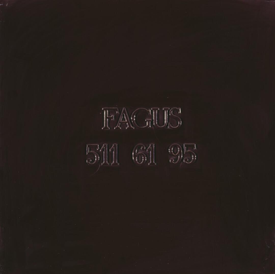Fagus 511 61 95