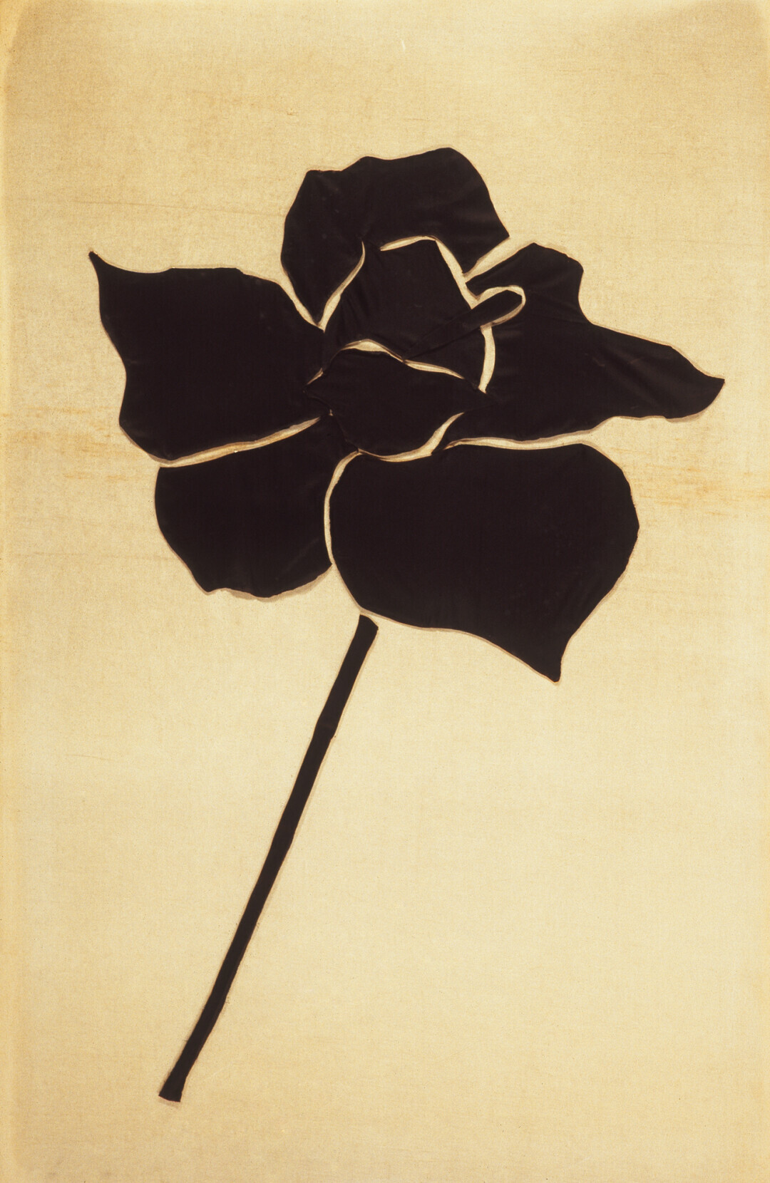 Senza titolo (Rose)