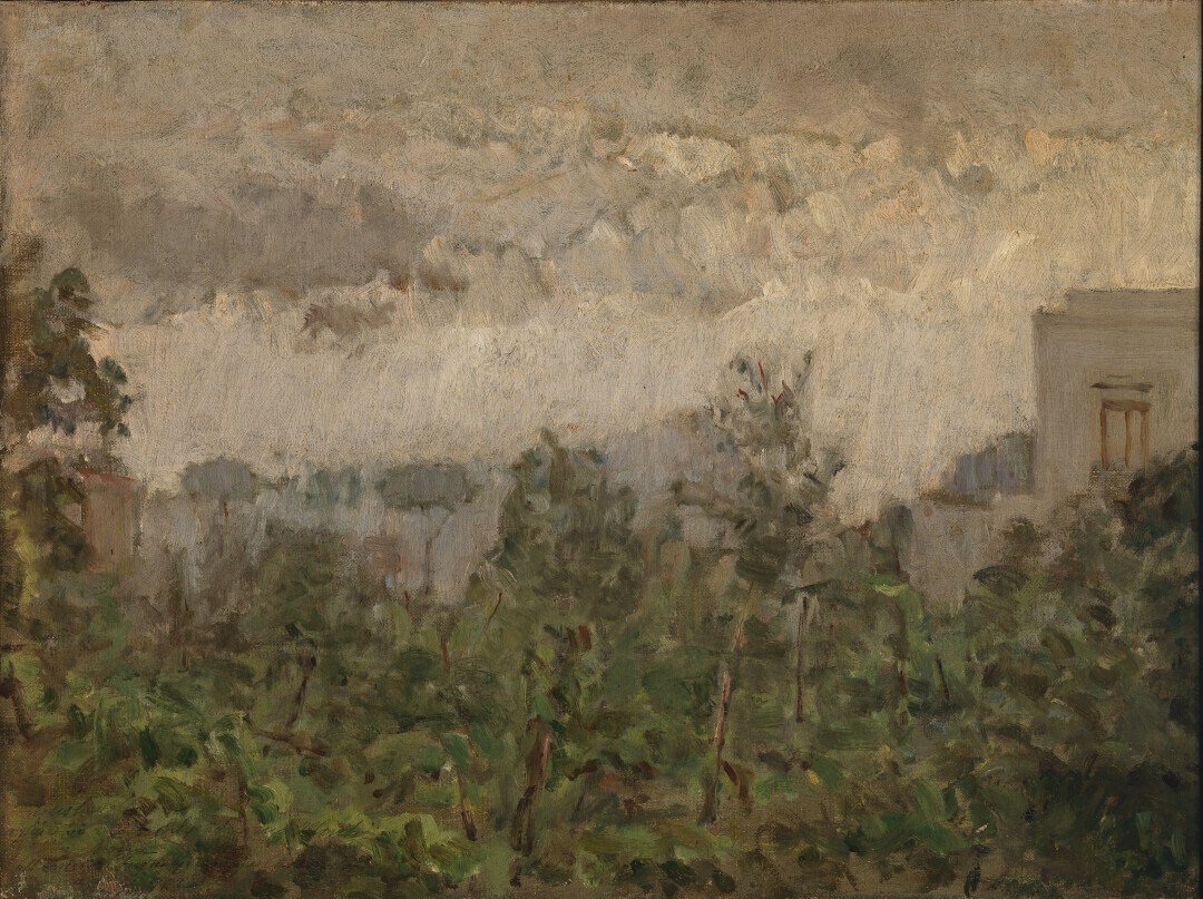 La pioggia