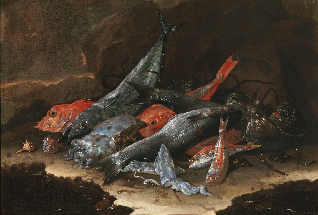 Natura morta con pesci e molluschi