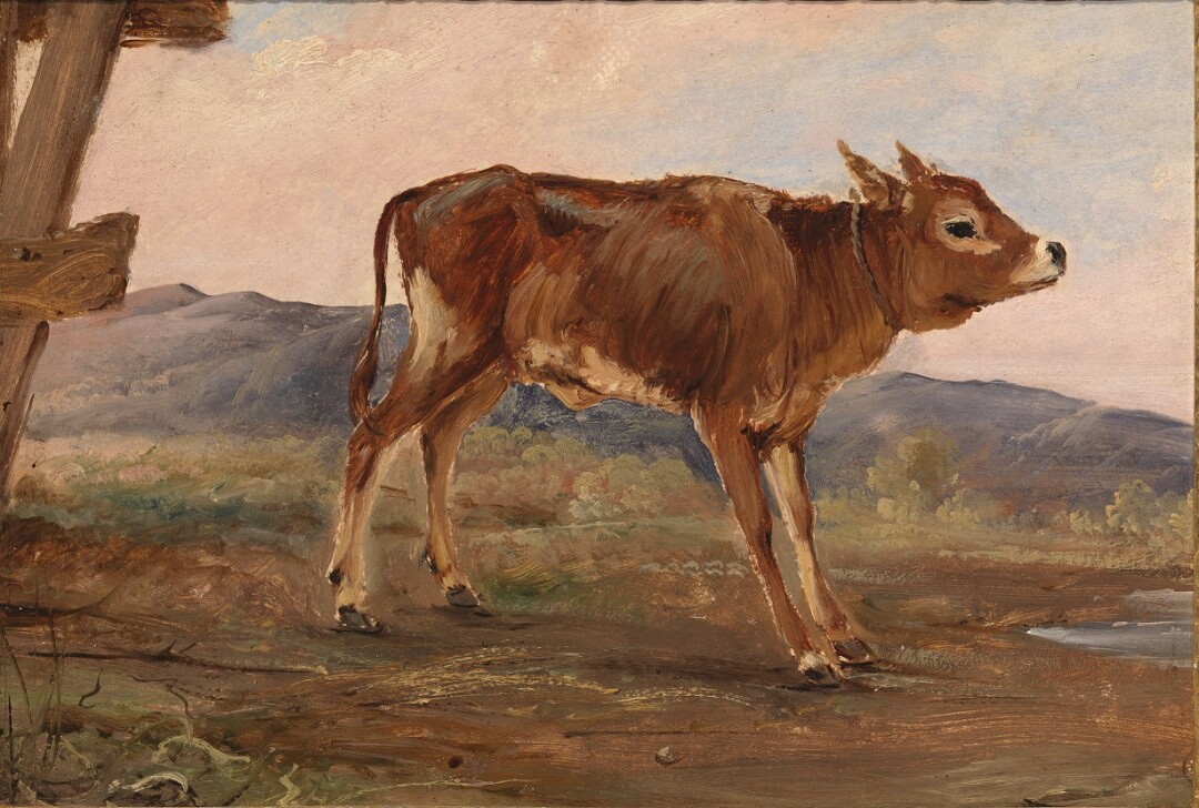 Vitello