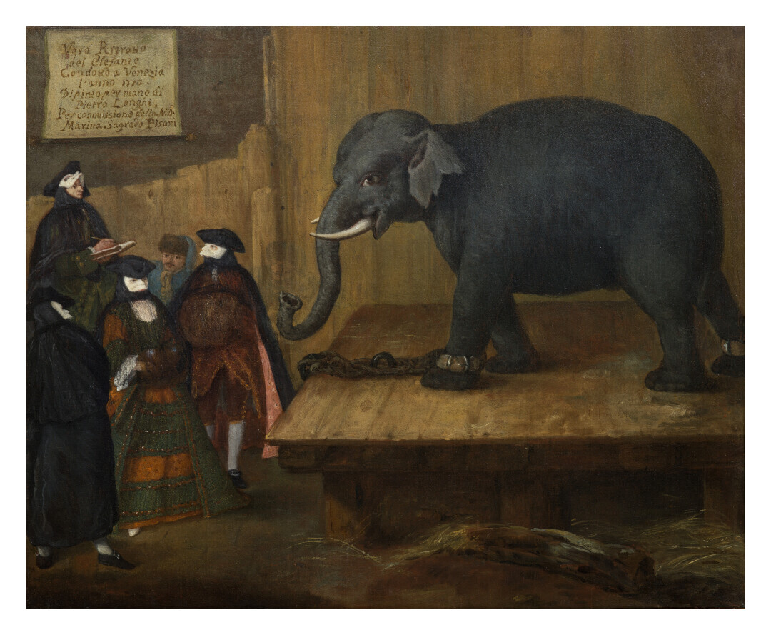 L’elefante