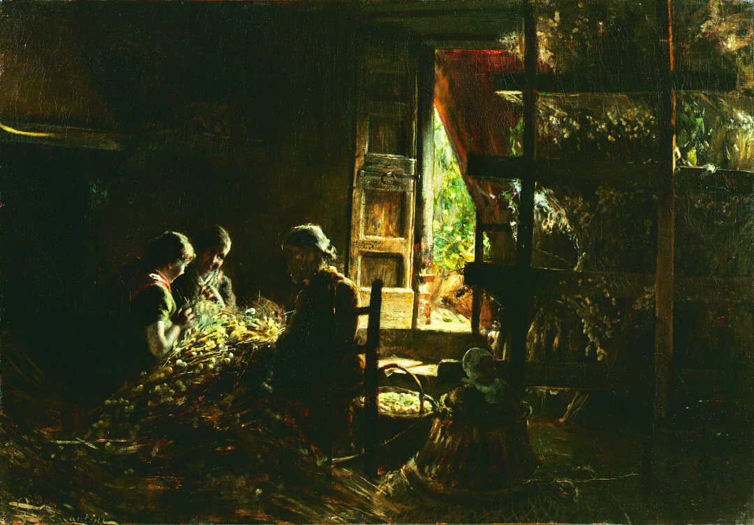 La raccolta dei bozzoli