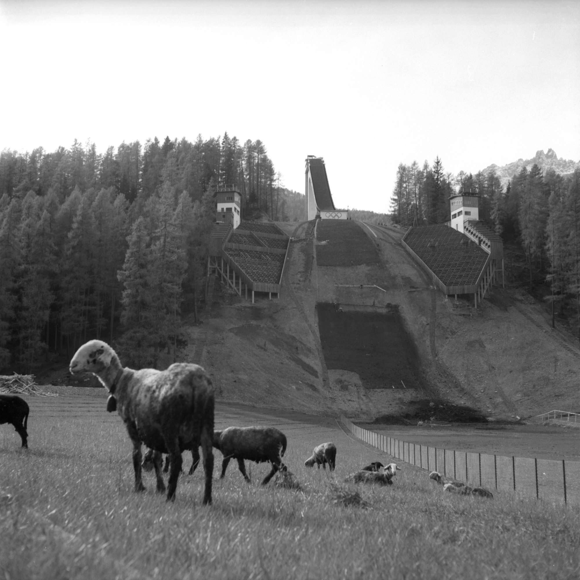 Olimpiadi invernali Milano-Cortina 1956 - Atleti italiani in allenamento, 15 gennaio 1956 Fotografia di Franco Gremignani - Publifoto CSAC, Università di Parma