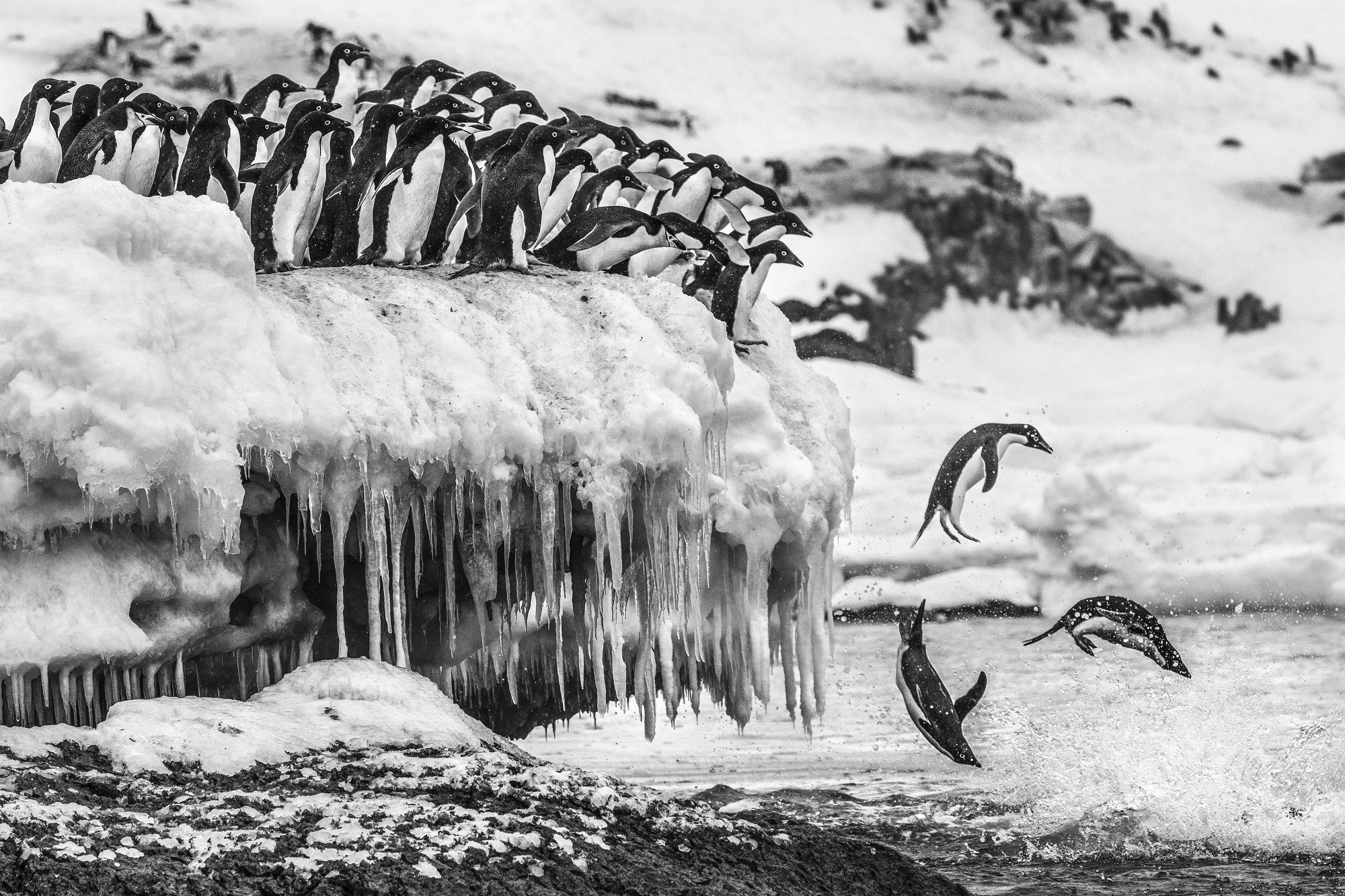Penisola Antartica, Antartide. 2014 © Cristina Mittermeier