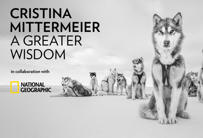 "Cristina Mittermeier. La Grande Saggezza" alla GAM di Palermo