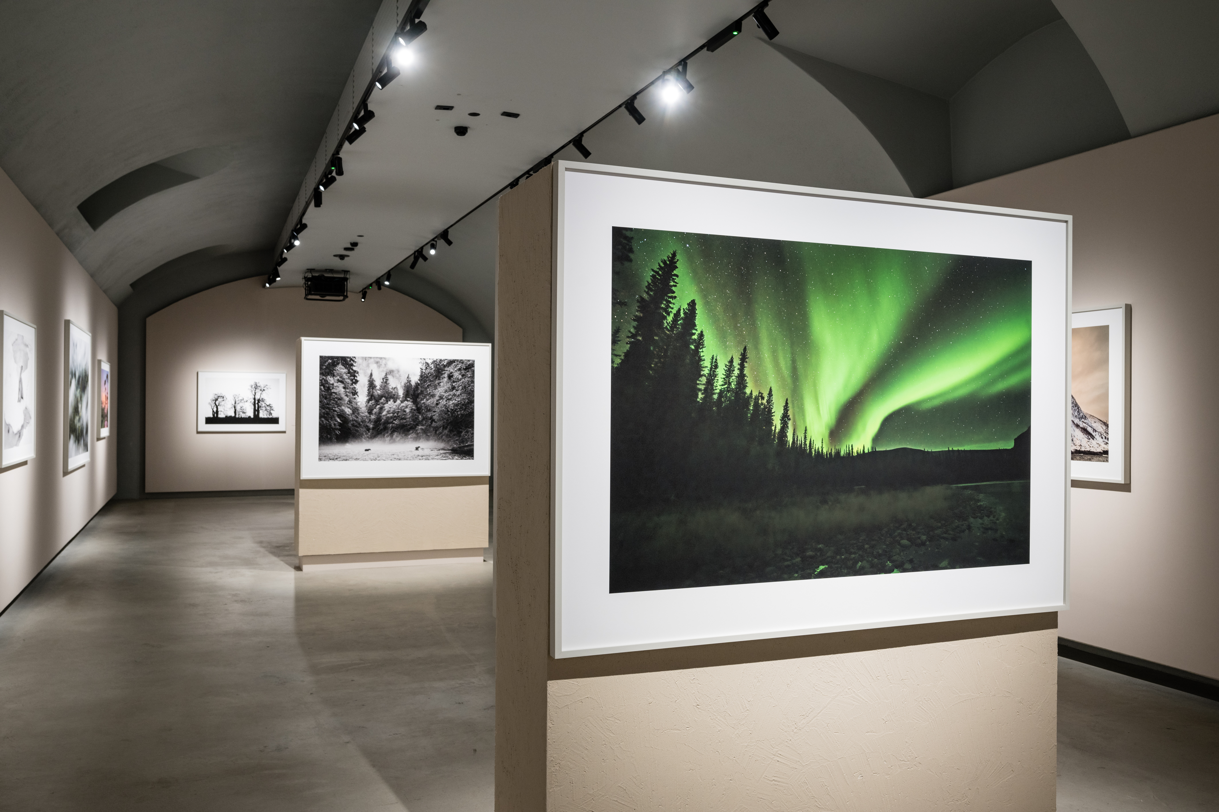 Cristina Mittermeier. Cristina Mittermeier. A greater wisdom - group of photographs with northern lights