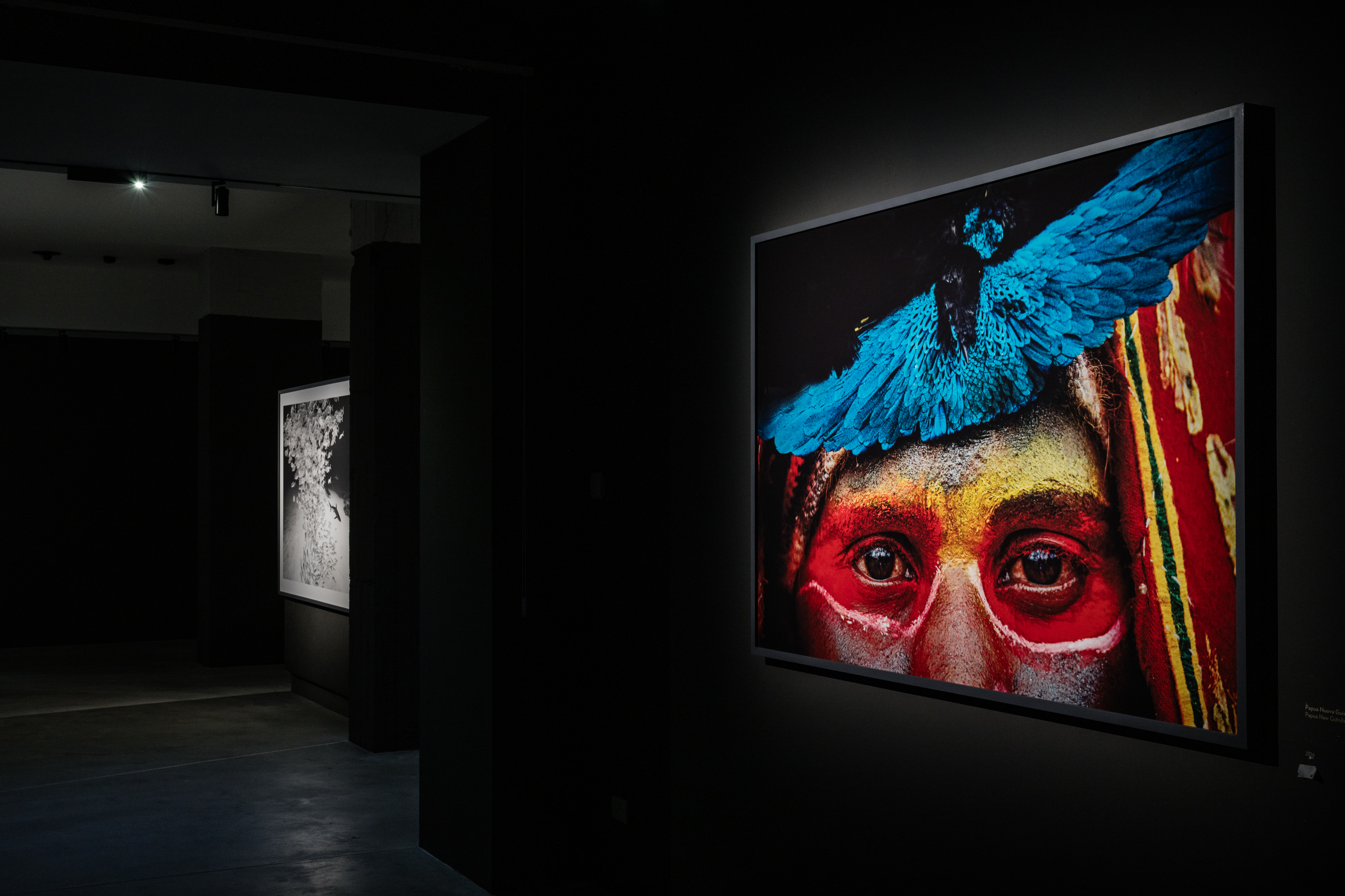 Cristina Mittermeier. Cristina Mittermeier. A greater wisdom - group of photographs with portraits