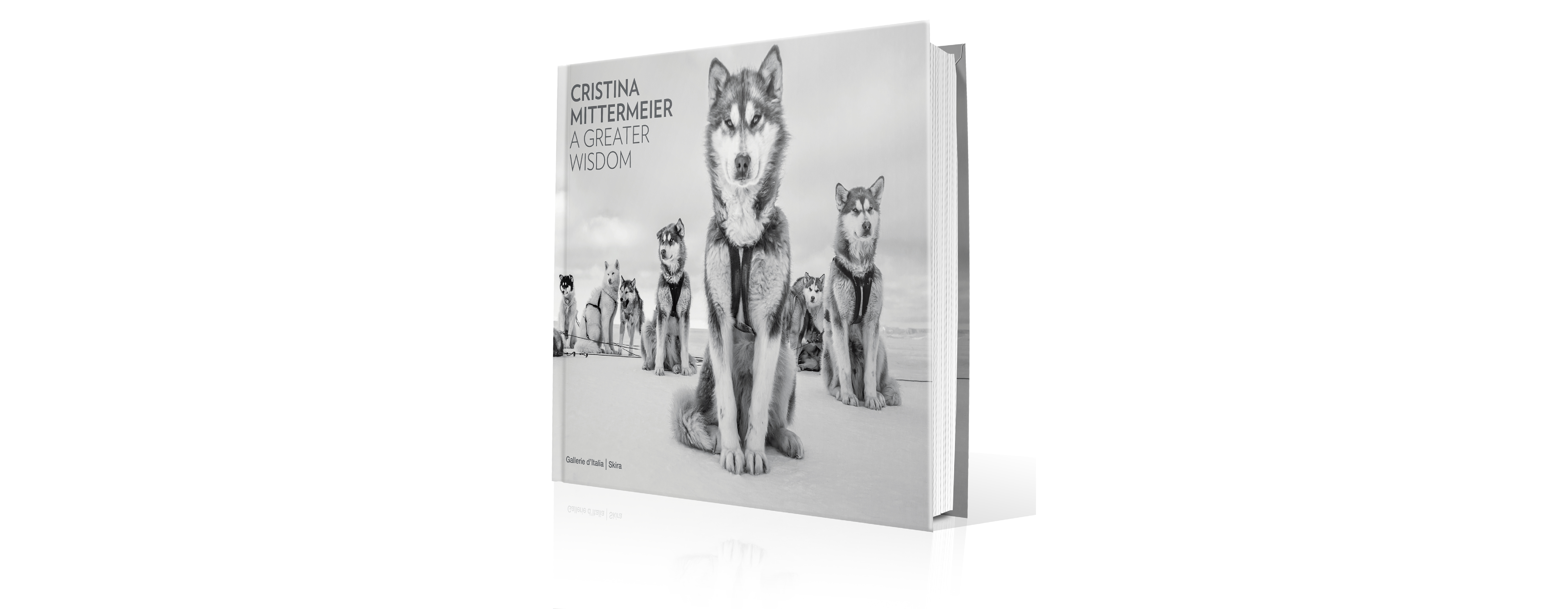 Cristina Mittermeier. A greater wisdom