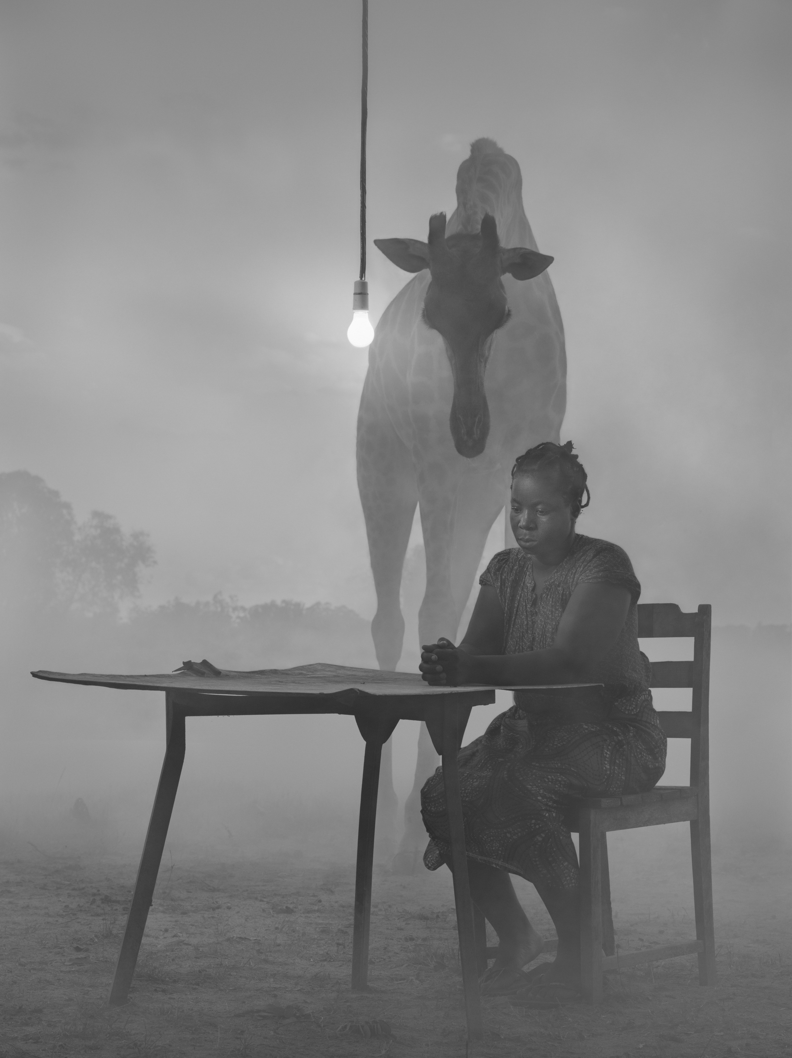 Kuda and Sky II, Zimbabwe, 2020, © Nick Brandt - Gallerie d'Italia Torino