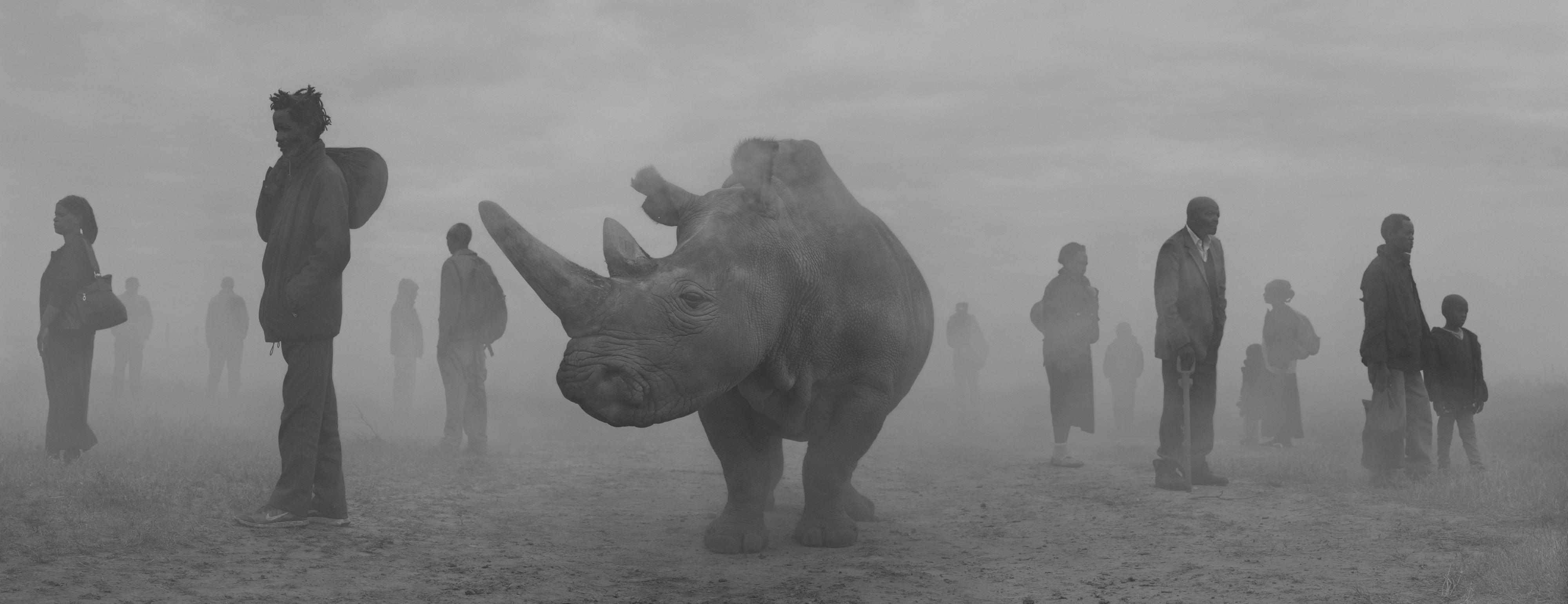 Najin and People in Fog, Kenya, © Nick Brandt - Gallerie d'Italia Torino