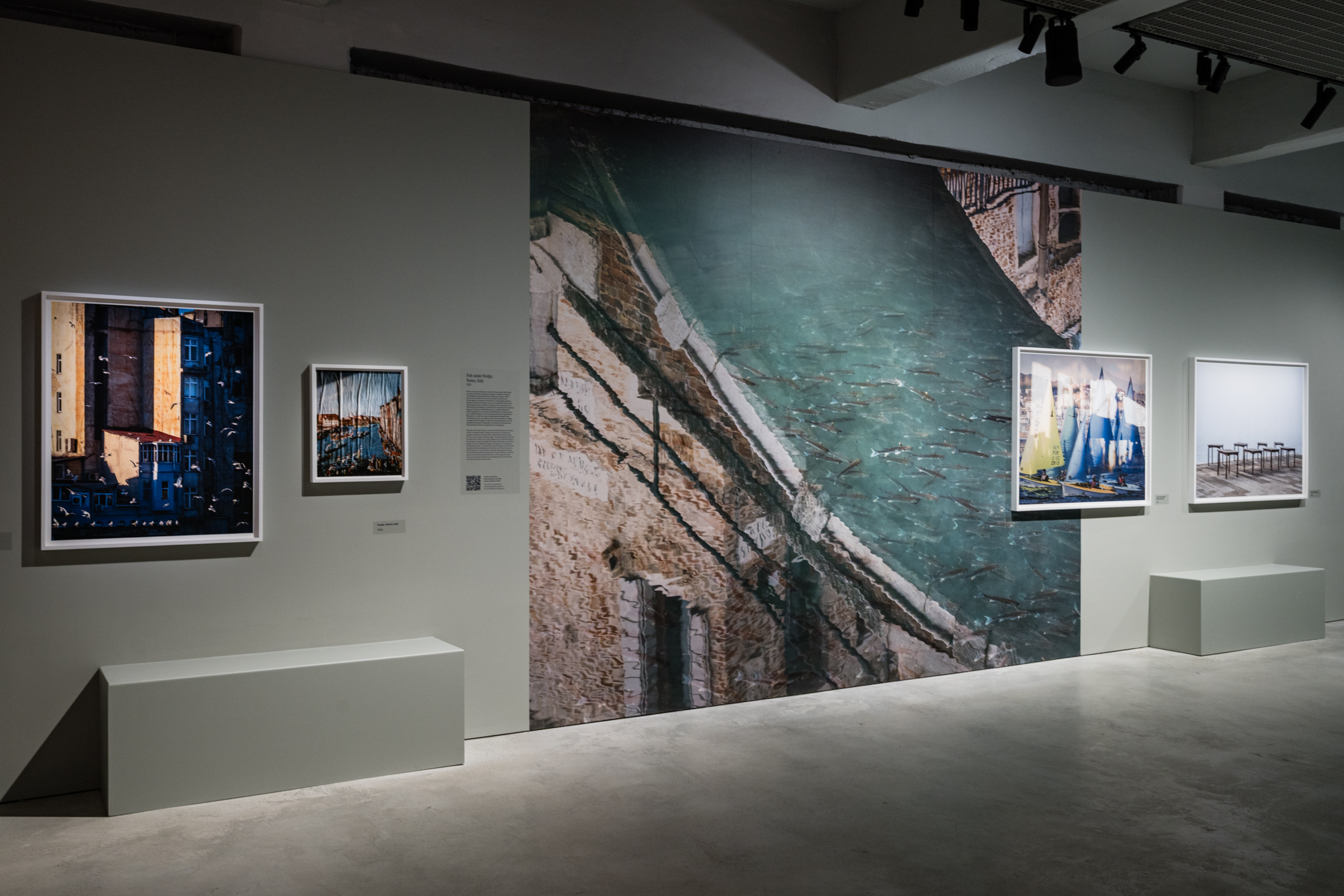 "Anastasia Samoylova. Harbor" in mostra a Torino