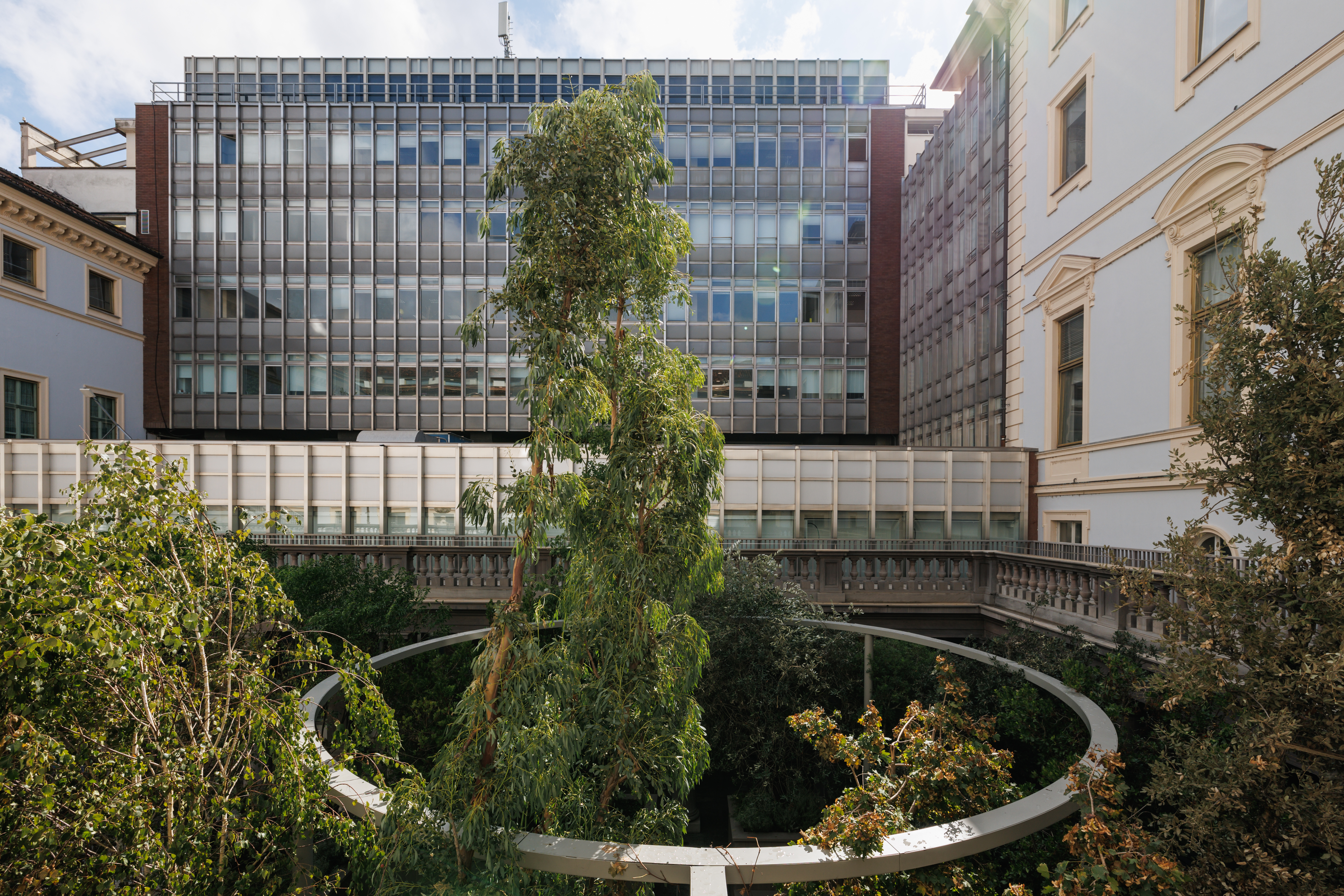 Ph. Giuliano Berti - Urban Woods, vista dall'alto 