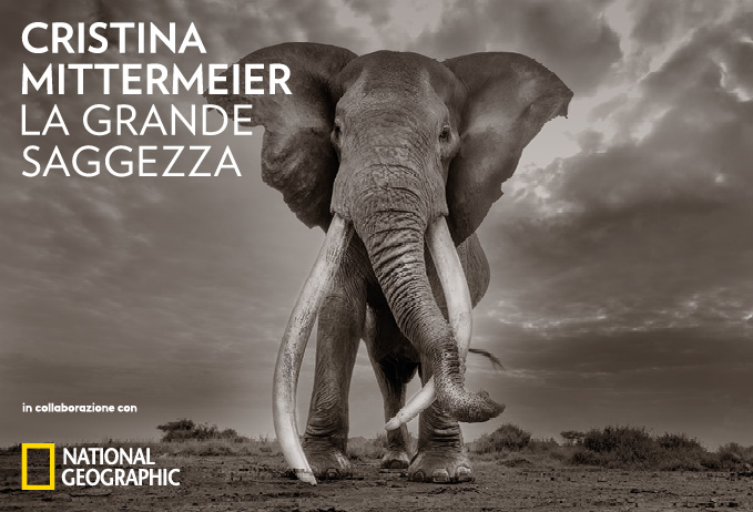 "Cristina Mittermeier. La grande saggezza" in mostra a Vicenza